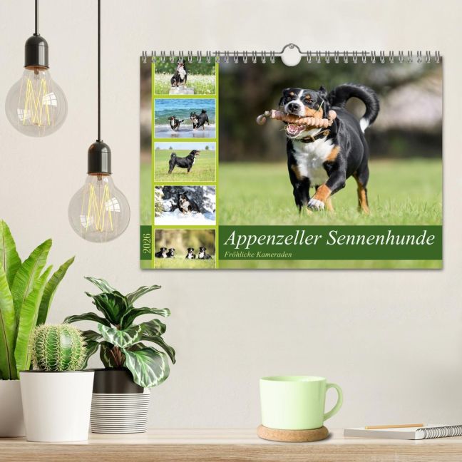 additionalImage1