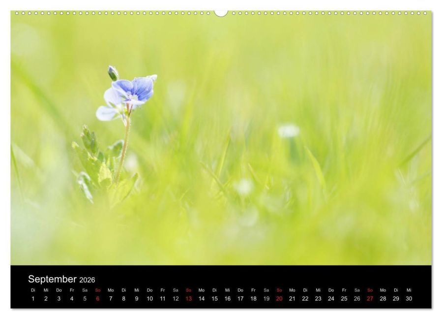 additionalImage14