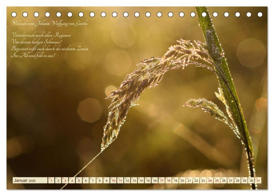 additionalImage6