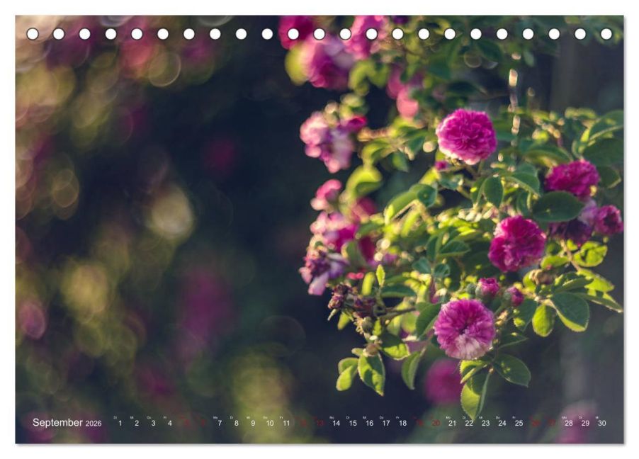 additionalImage14