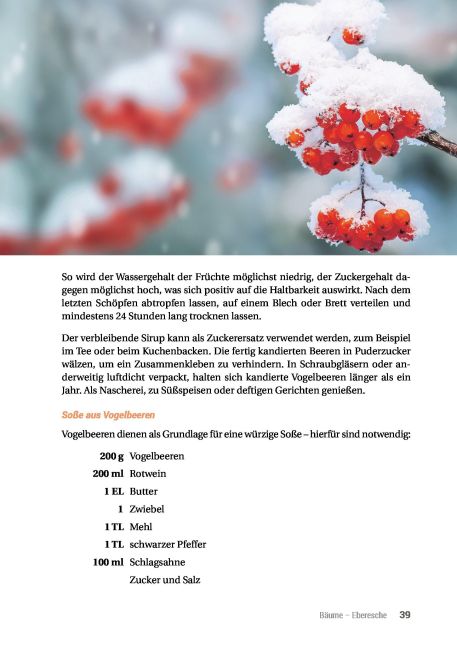 additionalImage12
