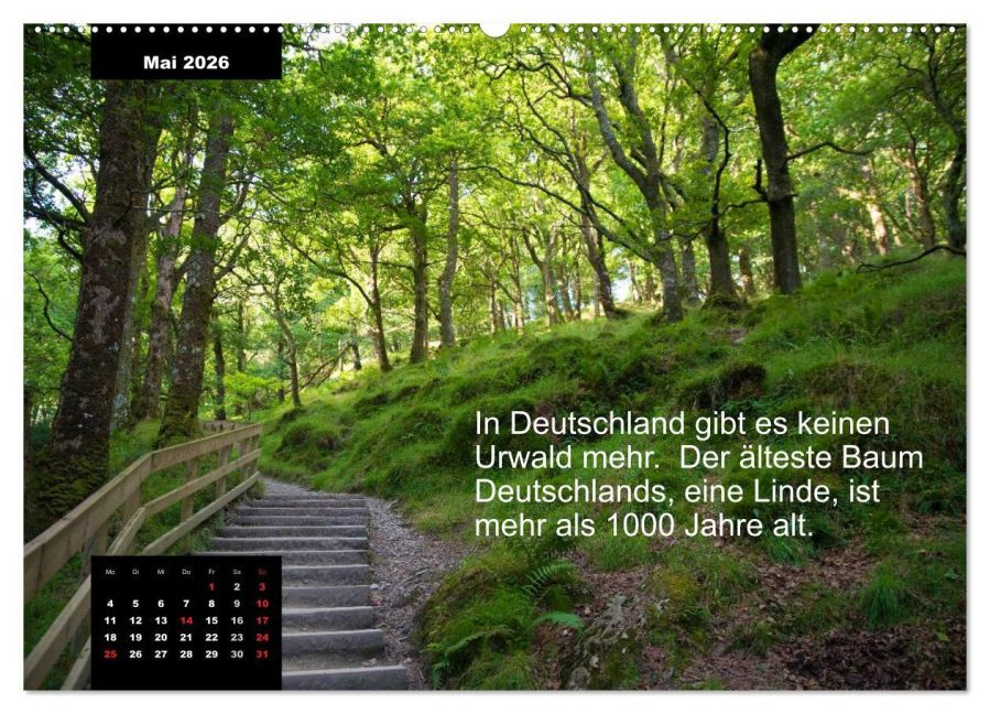 additionalImage10