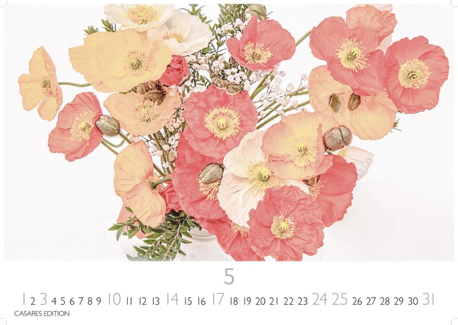 additionalImage5