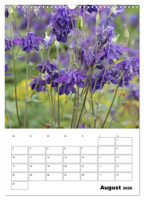 additionalImage13