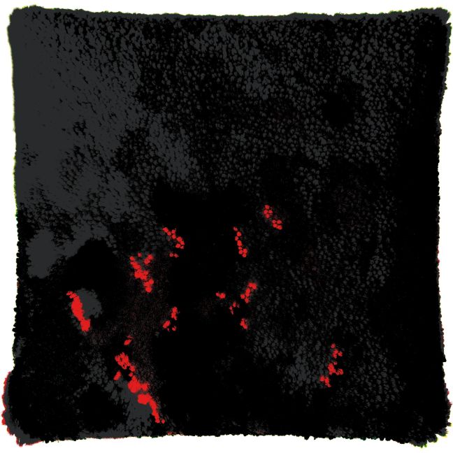 additionalImage5