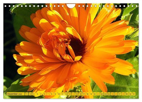 additionalImage4