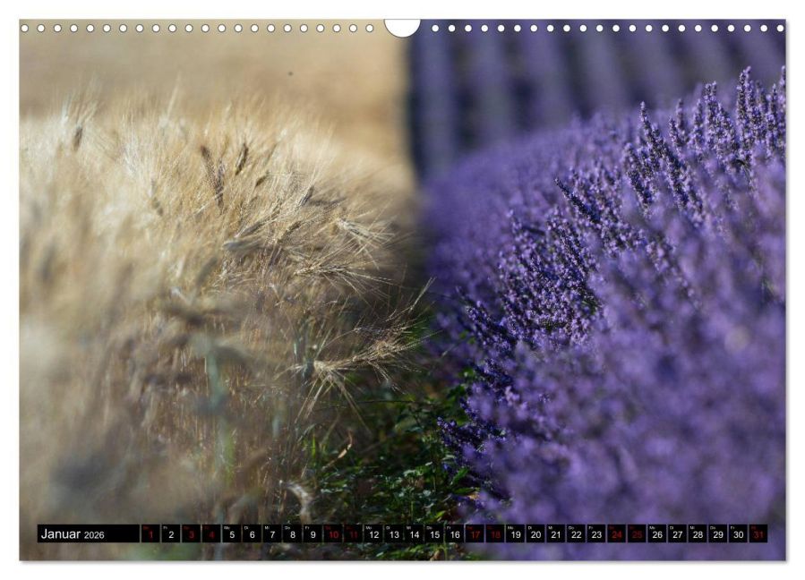 additionalImage6