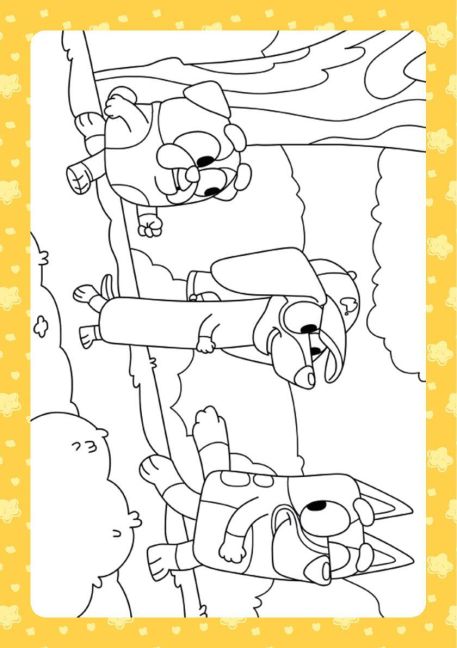 additionalImage3