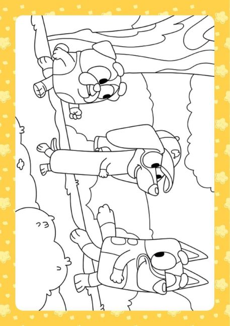 additionalImage3