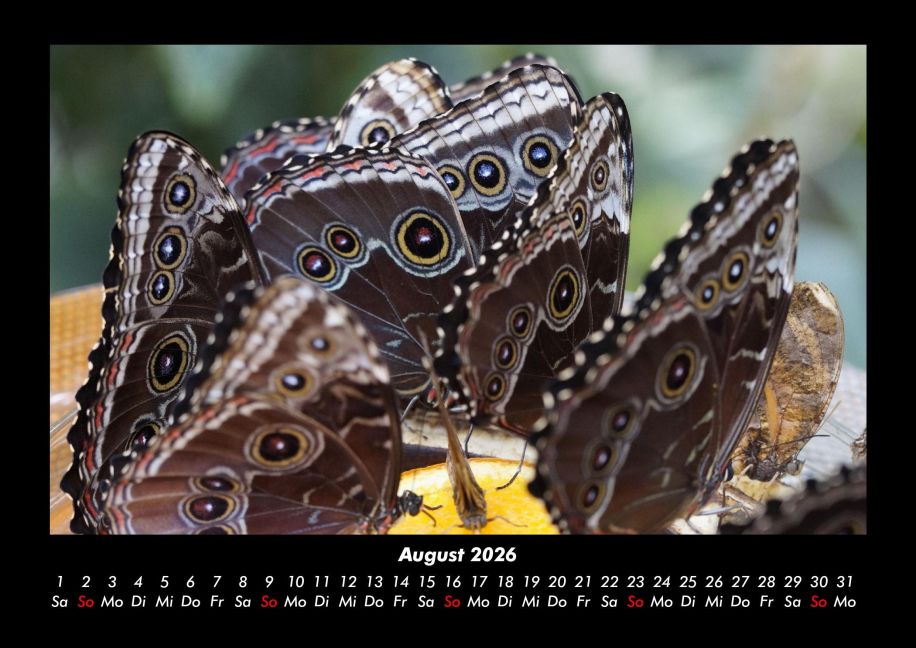 additionalImage12