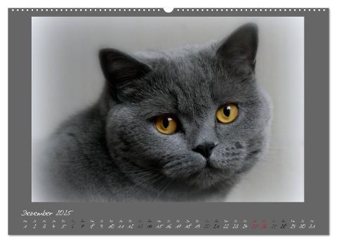 additionalImage3
