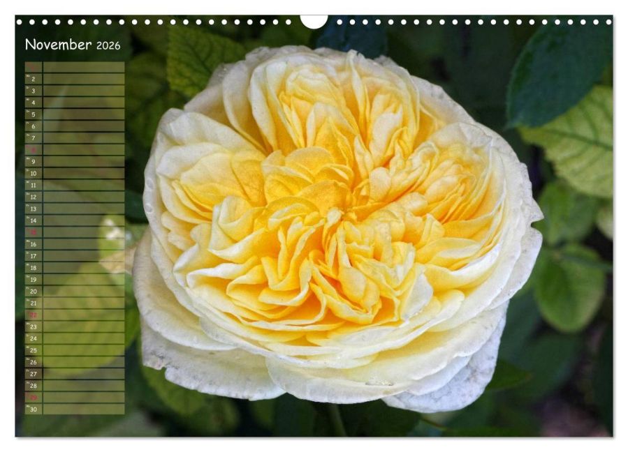 additionalImage3