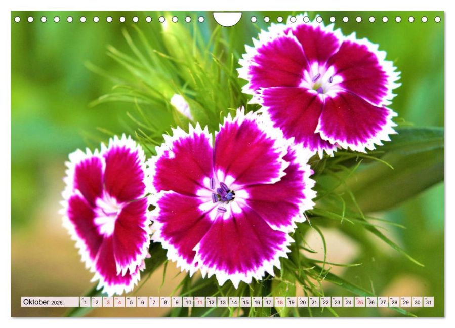 additionalImage2