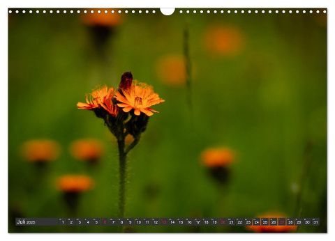 additionalImage12