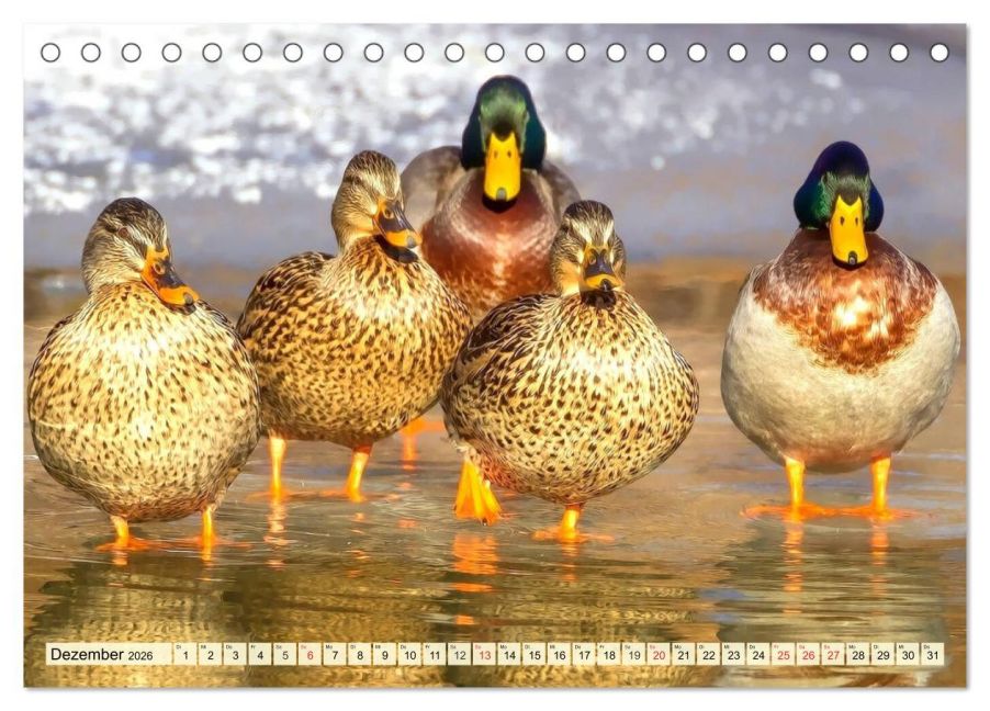 additionalImage4