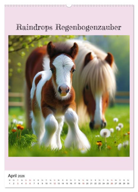 additionalImage8