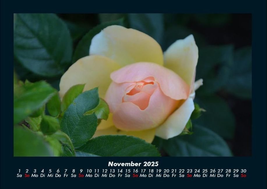 additionalImage3