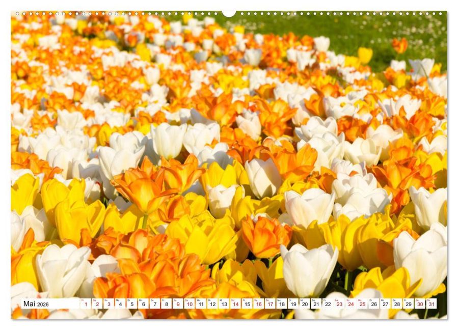 additionalImage10