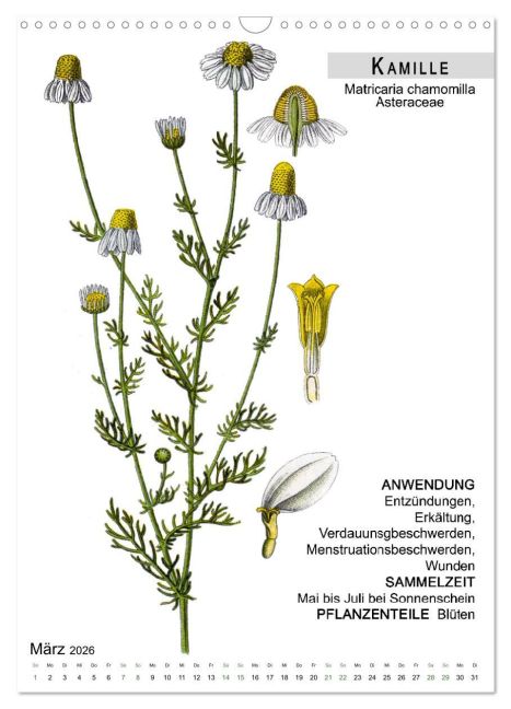 additionalImage8