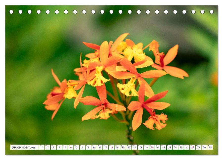 additionalImage14