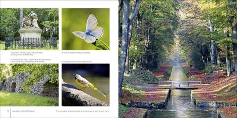 additionalImage5