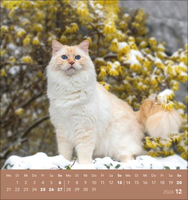 additionalImage12