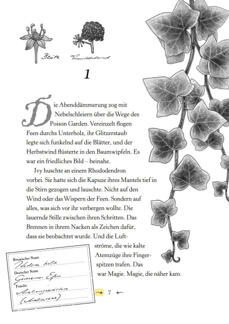 additionalImage6