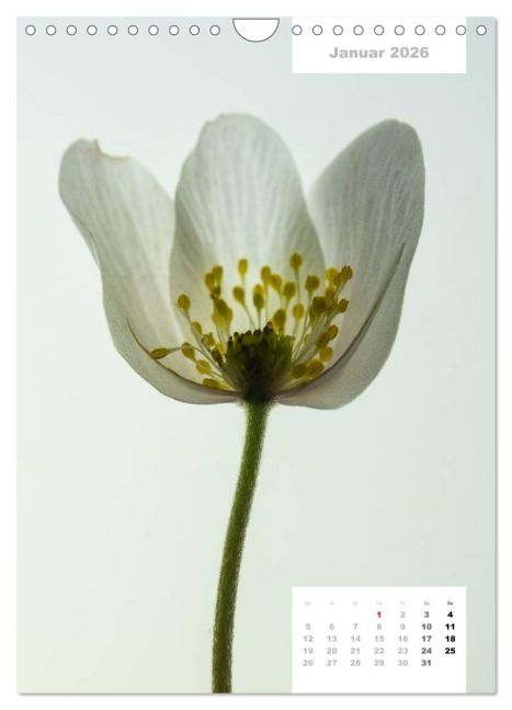 additionalImage6