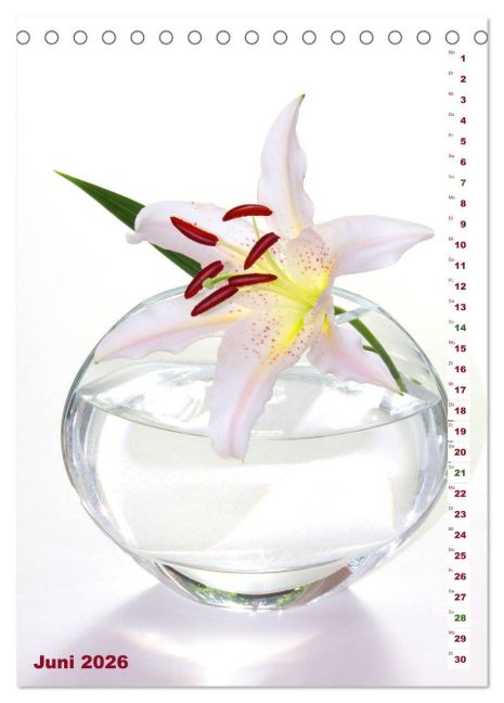 additionalImage11