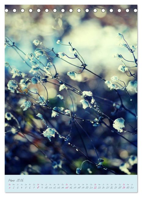 additionalImage8