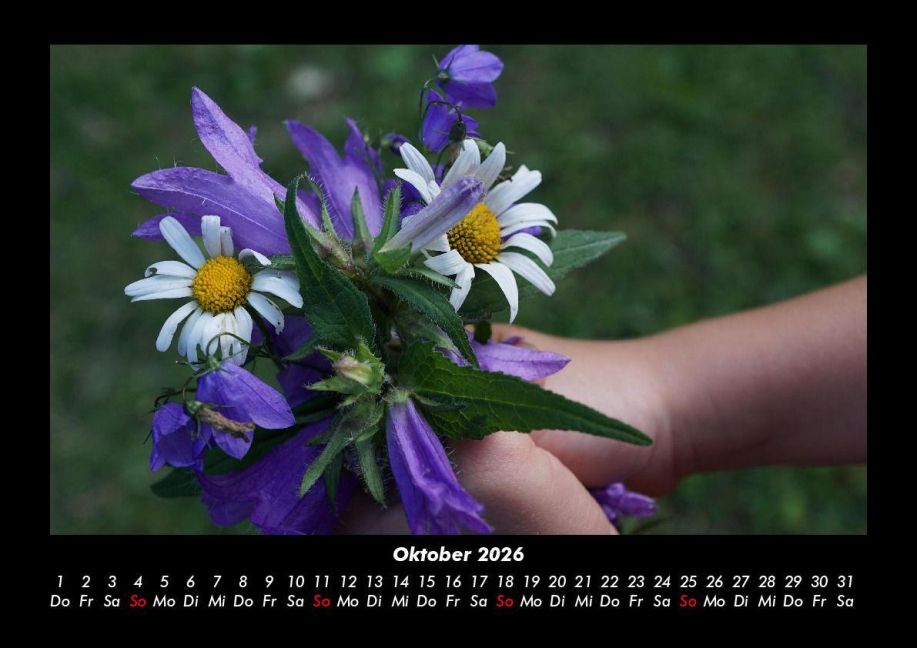 additionalImage2