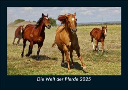 Cover-Bild zum Titel 'Die Welt der Pferde 2025 Fotokalender DIN A5' von 'Tobias Becker'