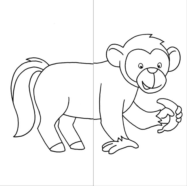 additionalImage4