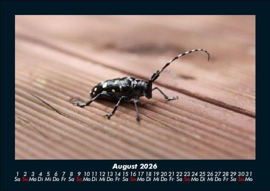 additionalImage12