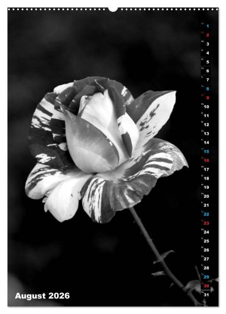 additionalImage13