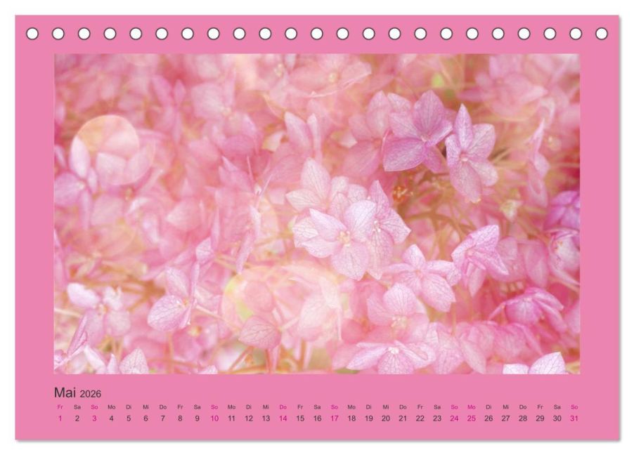additionalImage10
