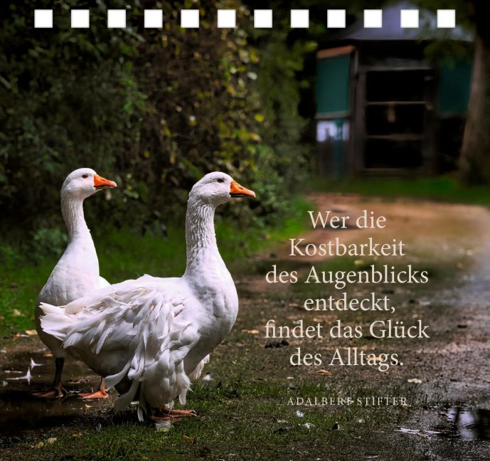 additionalImage1