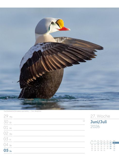 additionalImage30