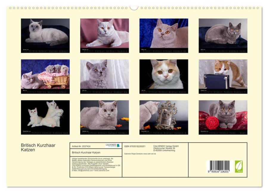 additionalImage4