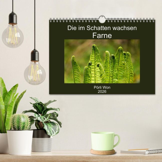 additionalImage1