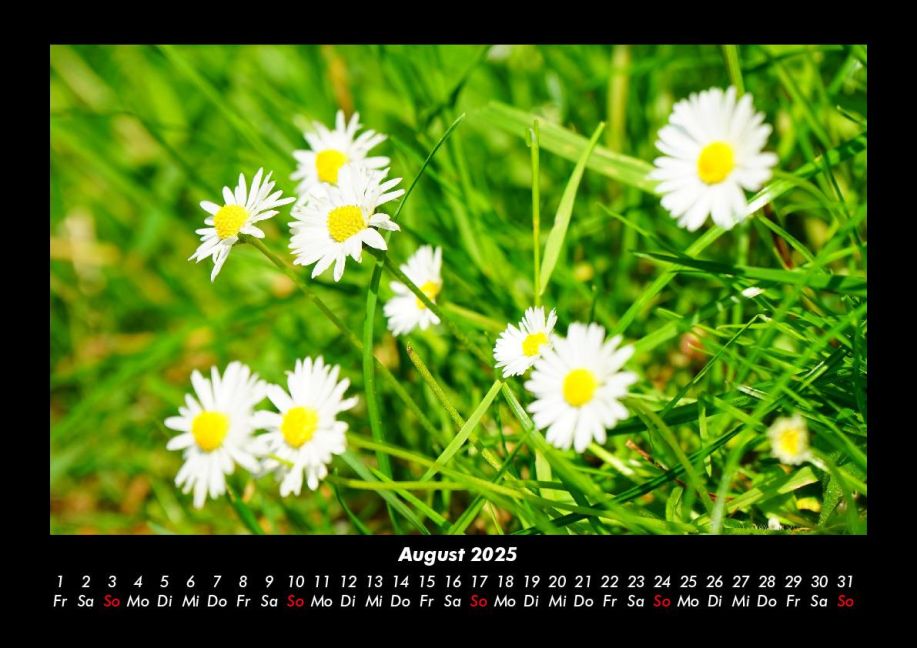 additionalImage12