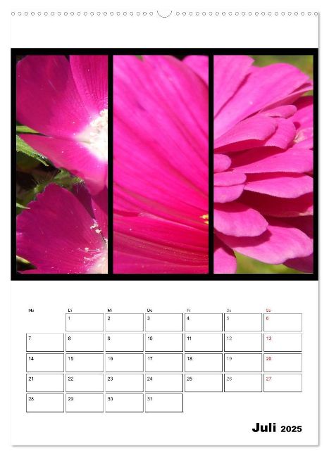 additionalImage11