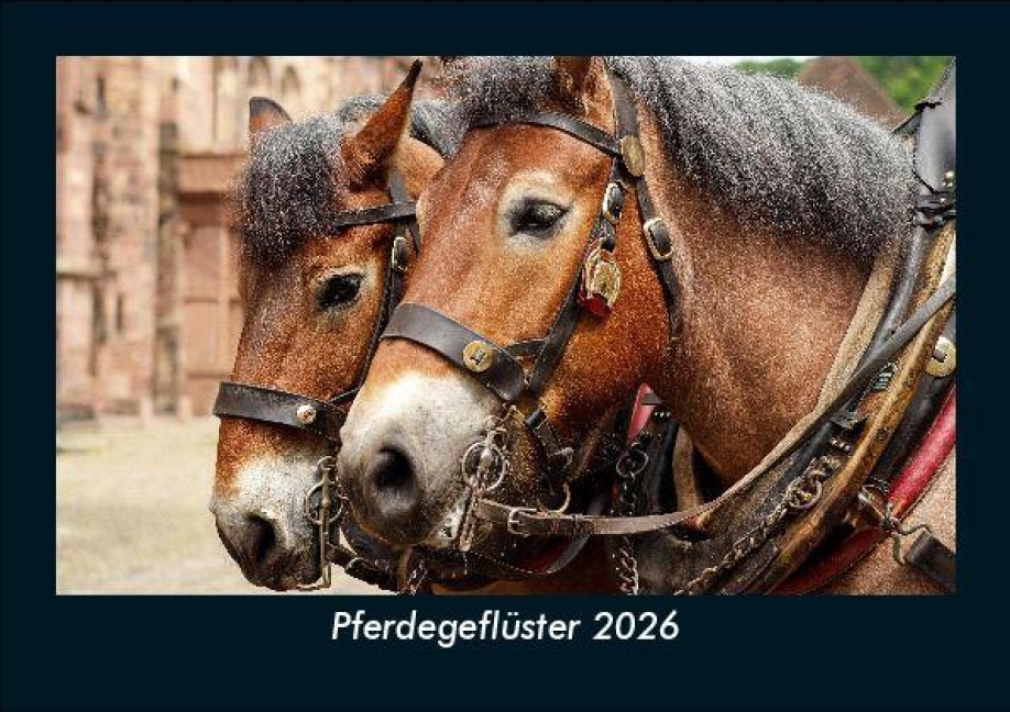 Pferdegeflüster 2026 Fotokalender DIN A5 - Tobias Becker