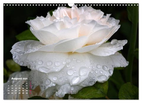 additionalImage13