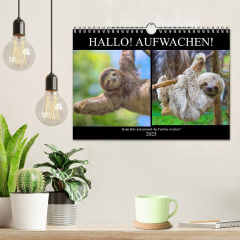 additionalImage1