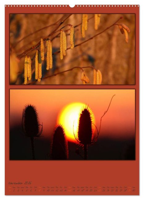 additionalImage2
