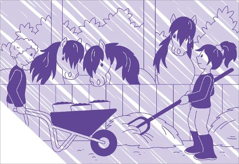 additionalImage1