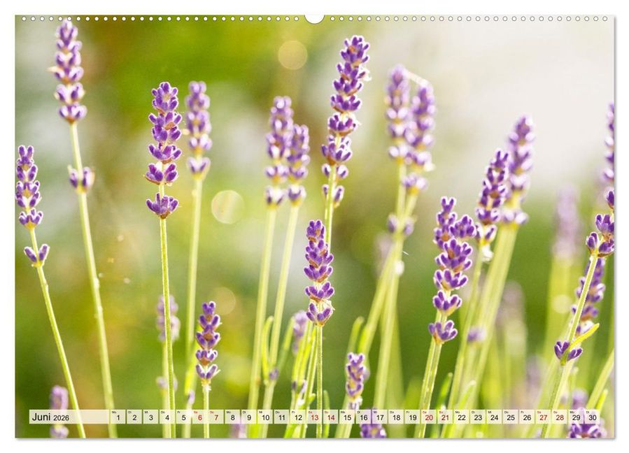 additionalImage10