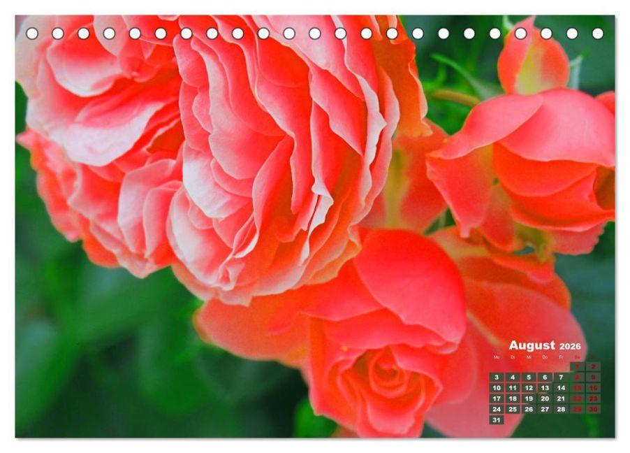 additionalImage13