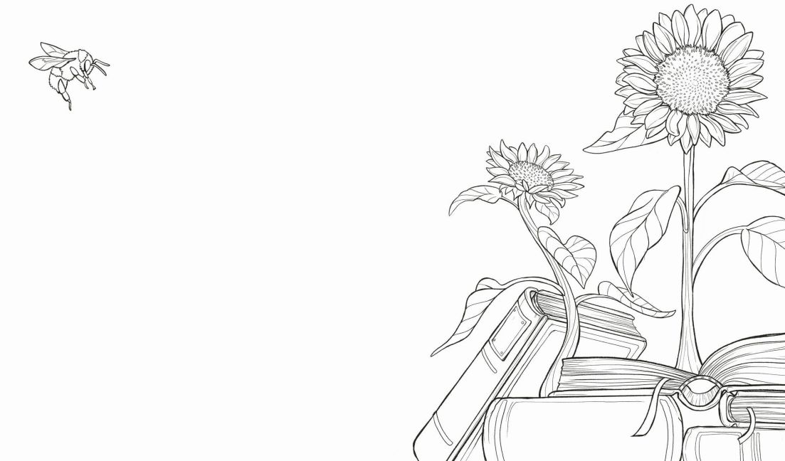additionalImage4